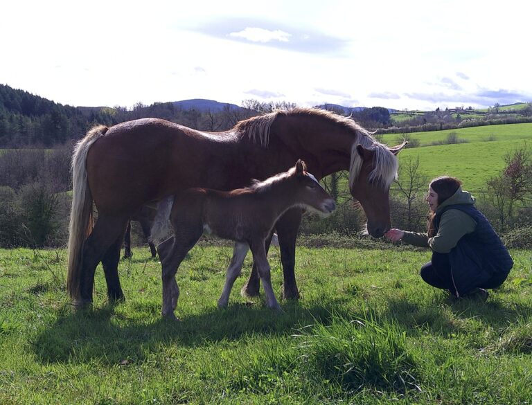 494116923_1249142453883125_8511708555766124829_n