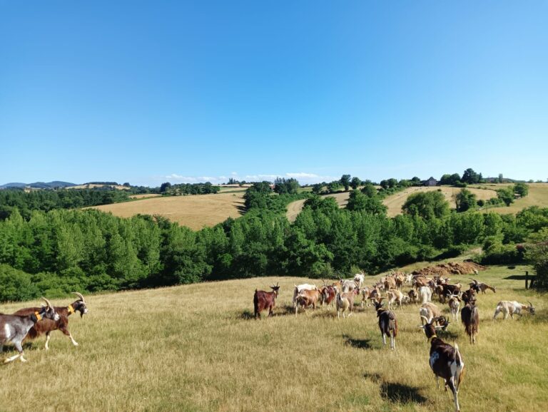 494904590_1250657547064949_6305804135150989054_n