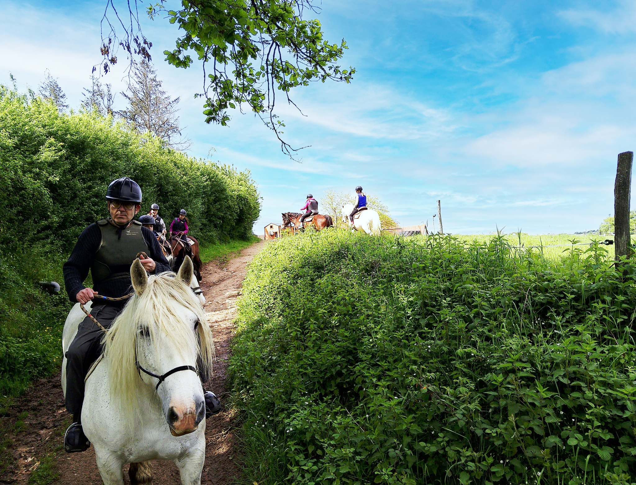 Exemple d&rsquo;article