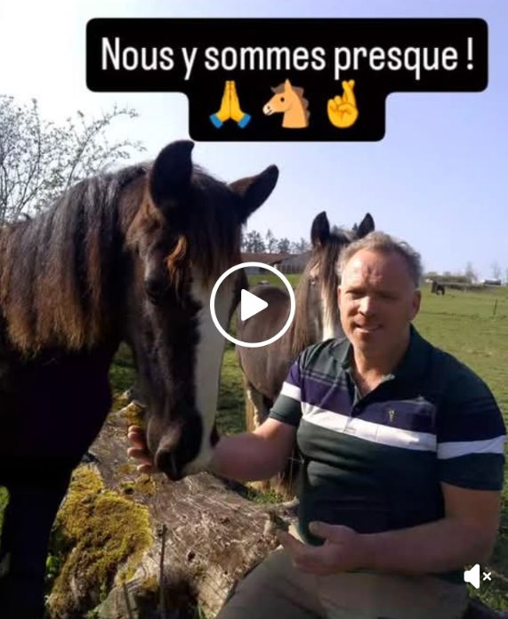 17 000 € pour sauver Om… Nous y sommes presque ! 🏁✨