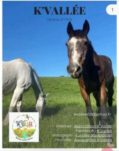 Newsletter Avril 2026